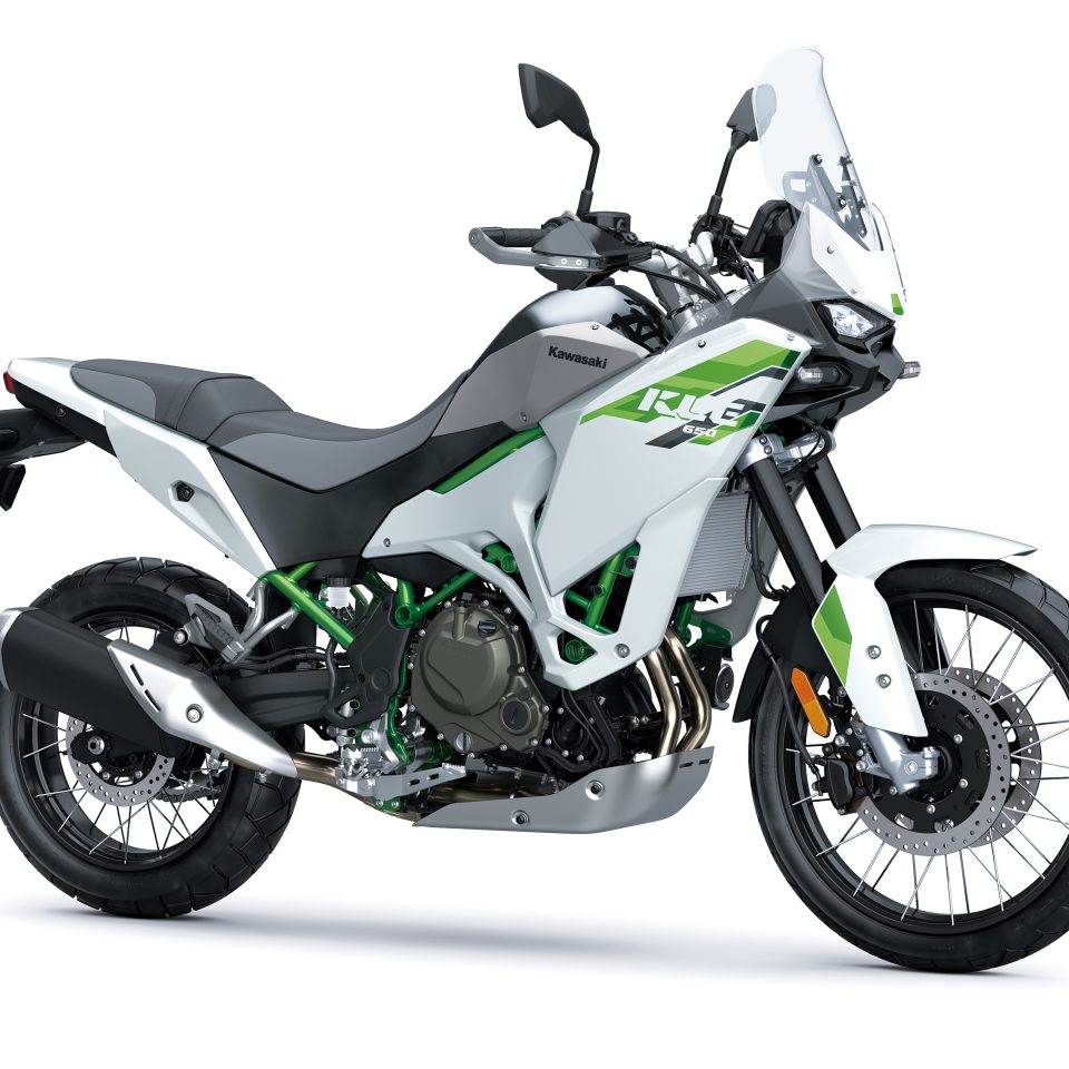Kawasaki-KLE600 (4)